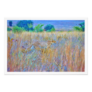 Photo Enlargement Print
