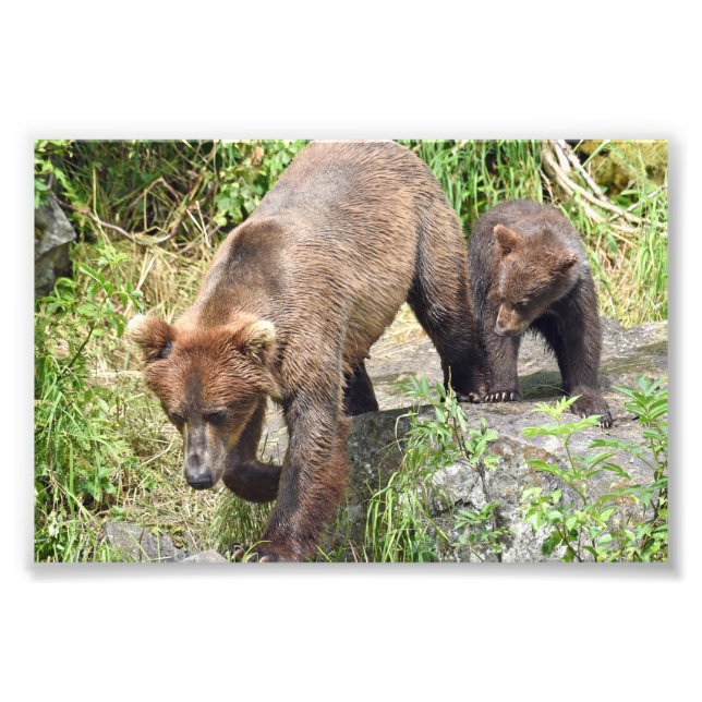 Photo Enlargement Print (Front)