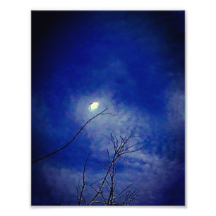 Photo Enlargement Print