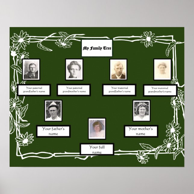 Photo Family Tree Daisy Art Border on Green Poster (Front)
