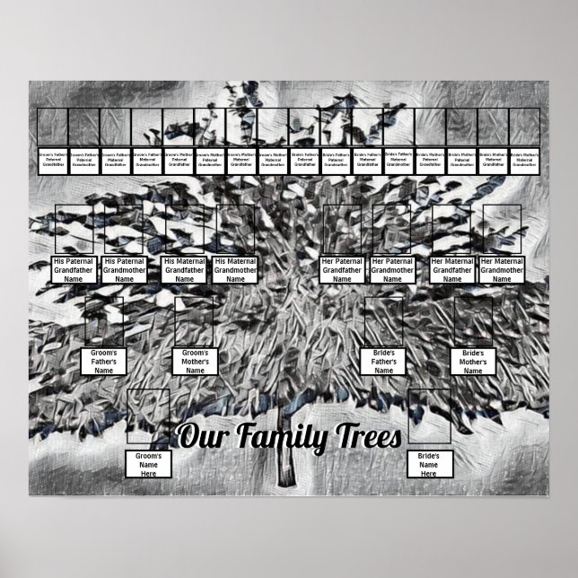 Photo Family Trees on Black and White Digital Art  Poster (Front)