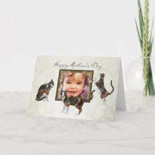 Photo Father's Day card with playful cats