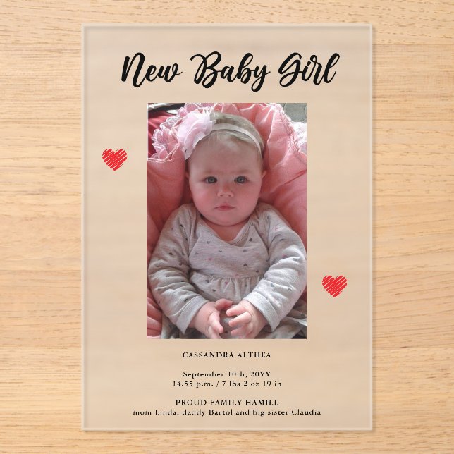 Photo Girl Birth Frosted Acrylic Announcement Card (Front)