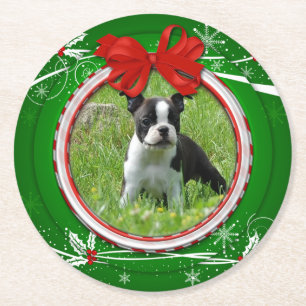 Photo Green Red Holly Berries Ribbon Paper Coaster