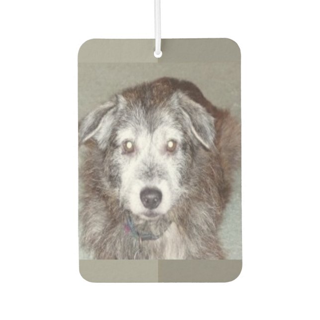 Photo Heart Shape Personalise Car Air Freshener (Front)