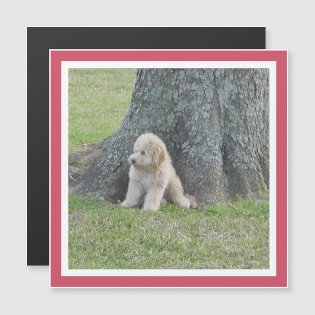 Photo Keepsake Modern Template Girly Pink Magnet (Front/Back)