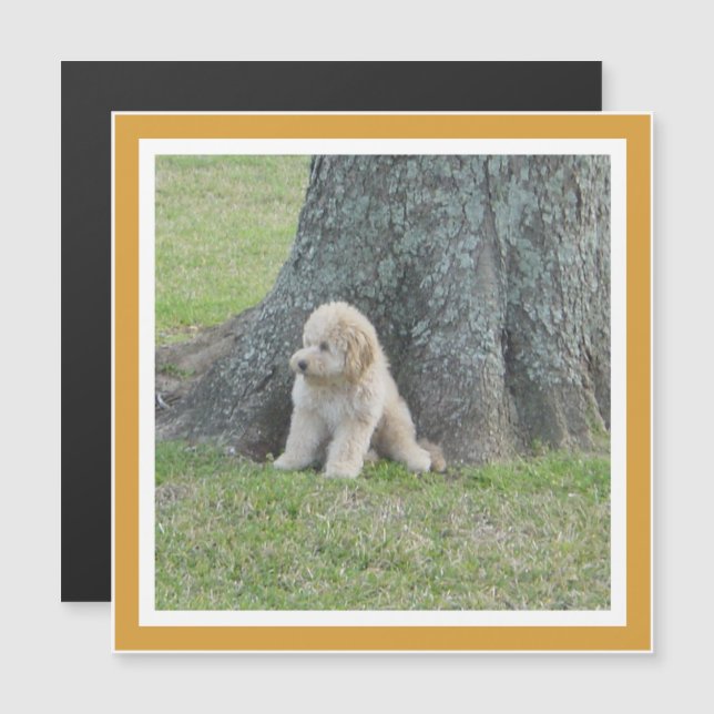 Photo Keepsake Modern Template Yellow Magnet (Front/Back)
