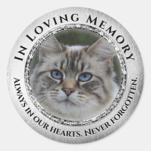 Photo Loving Memory Cat / Pet Sticker