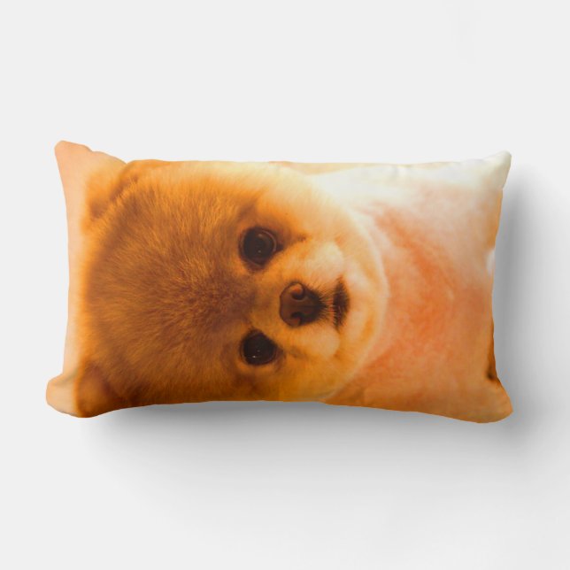 Photo Lumbar Pillow Gift (Front)