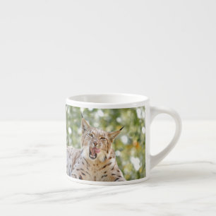 Photo lynx , cat , animals . espresso cup