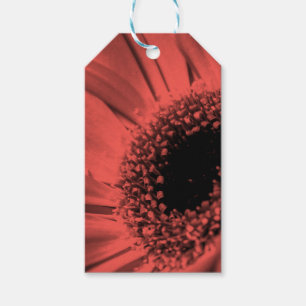 Photo, macro gift tags