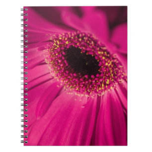 Photo, macro notebook