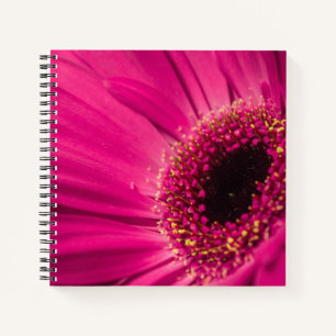 Photo, macro notebook