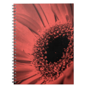 Photo, macro notebook