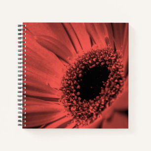 Photo, macro notebook