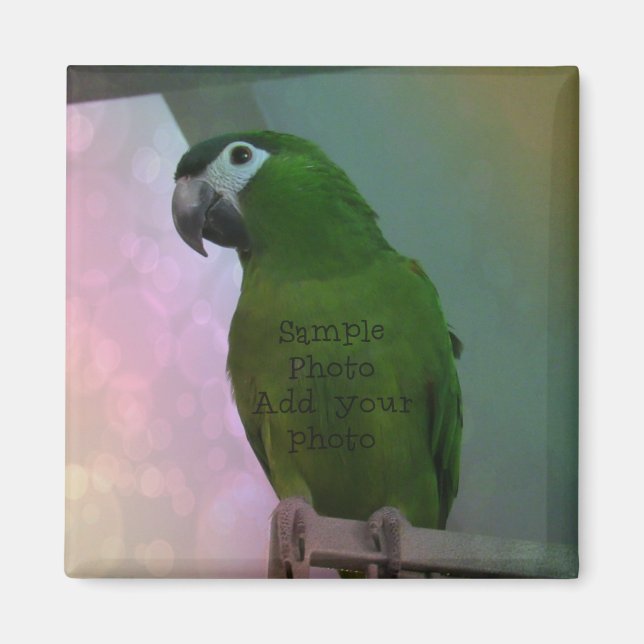 Photo Magnet (add your photo) (Front)