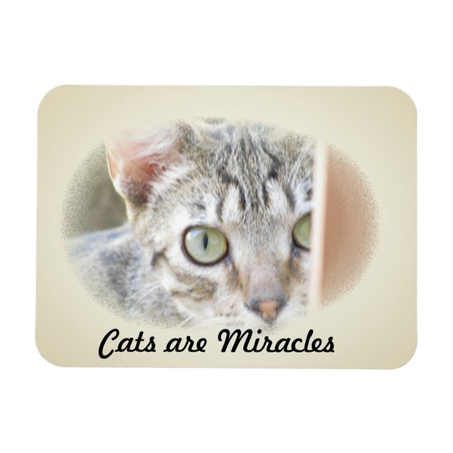 Photo Magnet - Cats are Miracles v.2 (Horizontal)