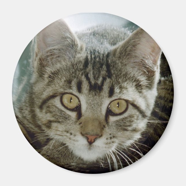 photo magnet - customise with your own pet (Front)