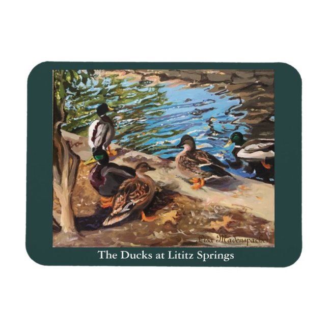photo magnet with ducks (Horizontal)