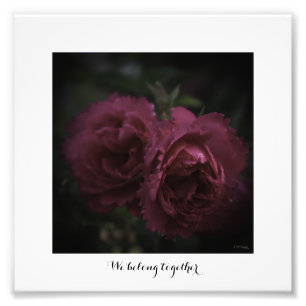 Photo magnification We belong together Print