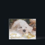 Photo Merry Christmas Snow Overlay Budget Gold Holiday Postcard<br><div class="desc">Customise this budget holiday postcard with your own favourite photo.  We’ve added a snow overlay & Merry Christmas accent layer in gold.  Perfect for all your family & friends.</div>
