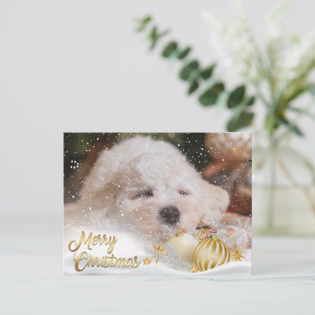 Photo Merry Christmas Snow Overlay Budget Gold Holiday Postcard (Standing Front)