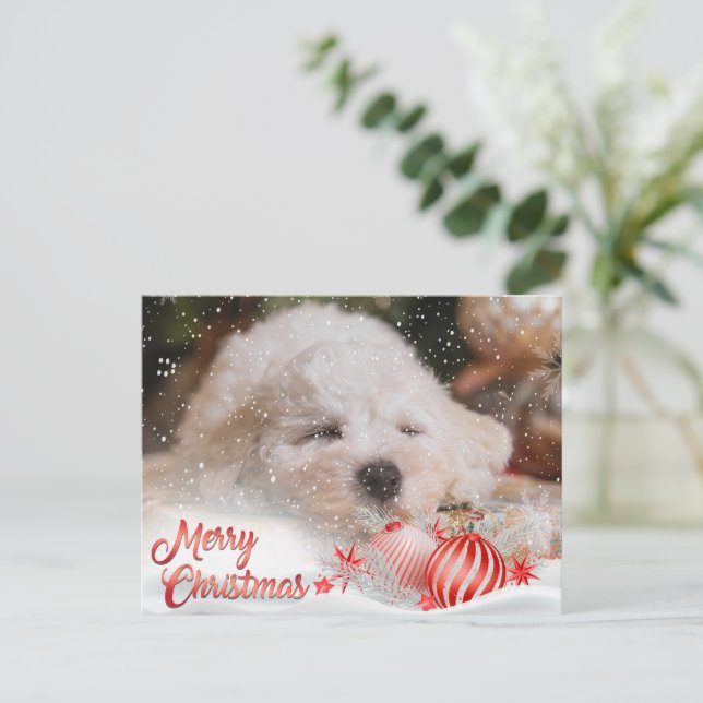 Photo Merry Christmas Snow Overlay Budget Holiday Postcard (Standing Front)