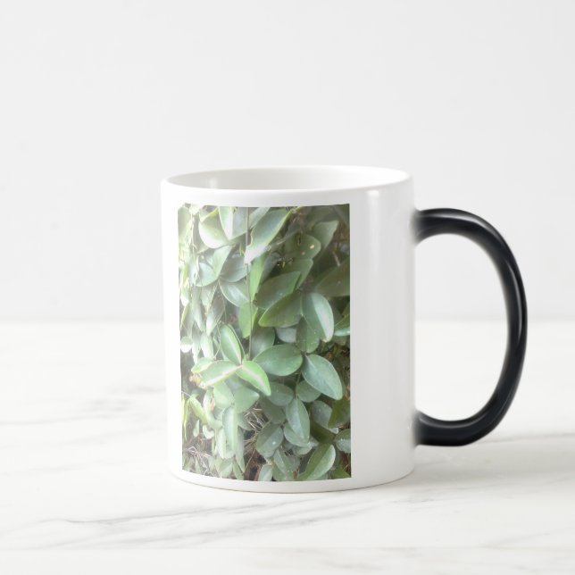 Photo morphing mug (Right)