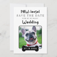 Photo My Humans Are Getting Married
