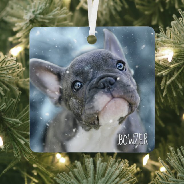 Photo + Name 🐶🐱 Personalized Best Dog or Puppy Metal Tree Decoration (Insitu)