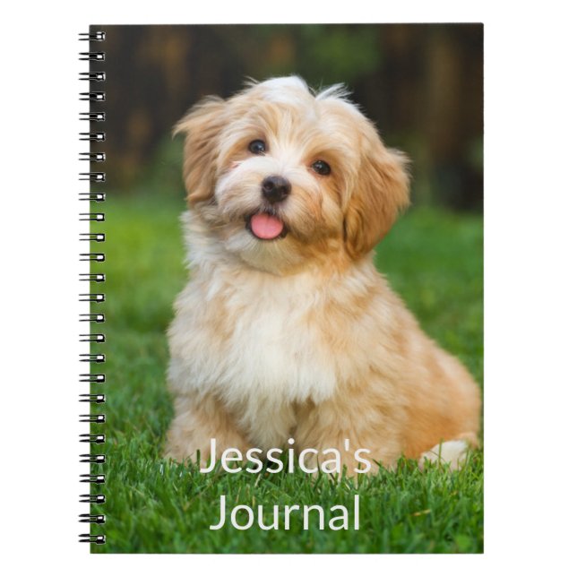 Photo  notebook (Front)