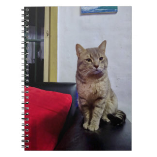 Photo Notebook 16.5 x 22 cm; 80 pages