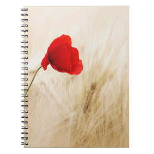 Photo Notebook (80 Pages B&W)