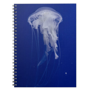 Photo Notebook (80 Pages B&W)