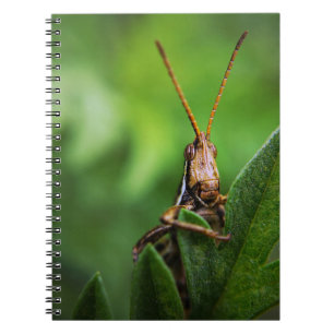 Photo Notebook (80 Pages B&W)