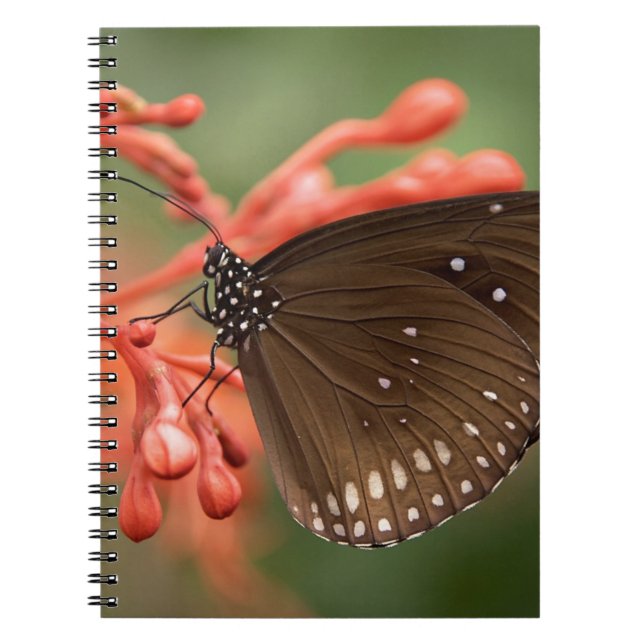 Photo Notebook (80 Pages B&W) (Front)