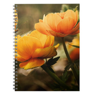 Photo Notebook (80 Pages B&W)