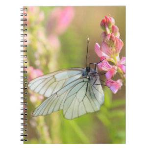 Photo Notebook (80 Pages B&W)