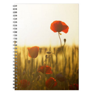 Photo Notebook (80 Pages B&W)