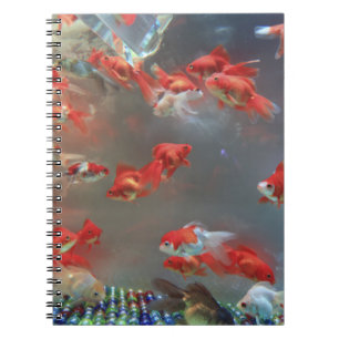 Photo Notebook (80 Pages B&W)