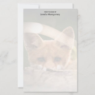 Photo of a Cute Little Orange Fox