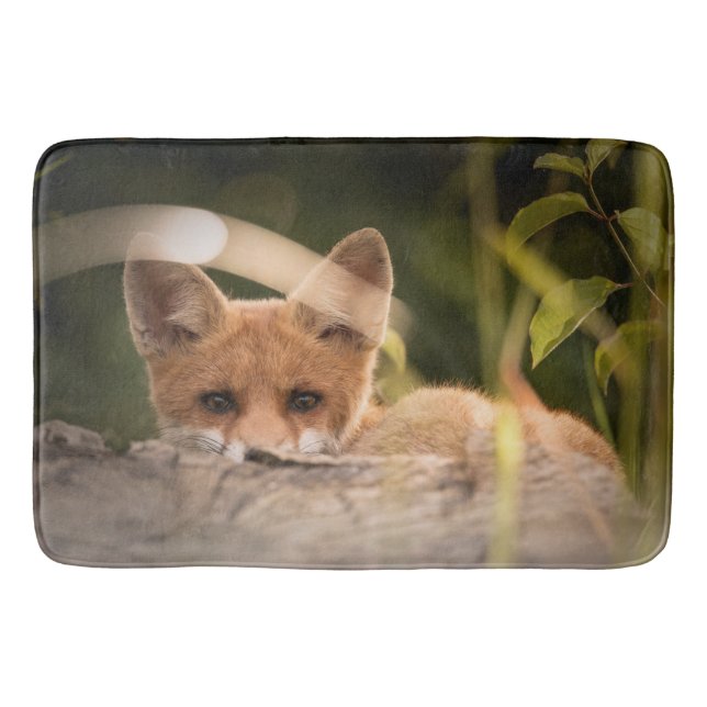 Photo of a Cute Little Orange Fox Bath Mat (Front)