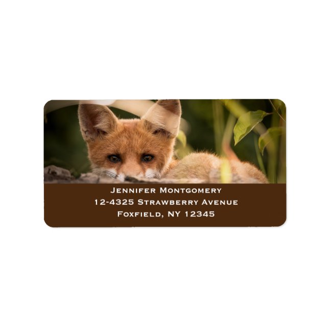 Photo of a Cute Little Orange Fox Label (Front)