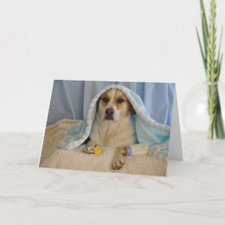 Photo of a dog as a baby boy card
