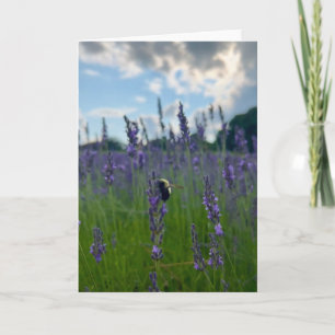 Photo of a Flower from New England Blank Greeting  Card