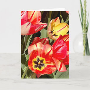 Photo of a Flower from New England Blank Greeting  Card