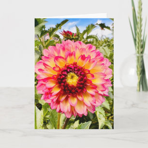 Photo of a Flower from New England Blank Greeting  Card