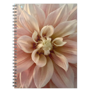 Photo of a Flower from New England Notebook