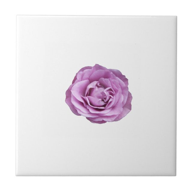 Photo of a lavender coloured rose on a tile (Front)