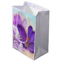 Photo of a Pretty Purple Spring Crocus